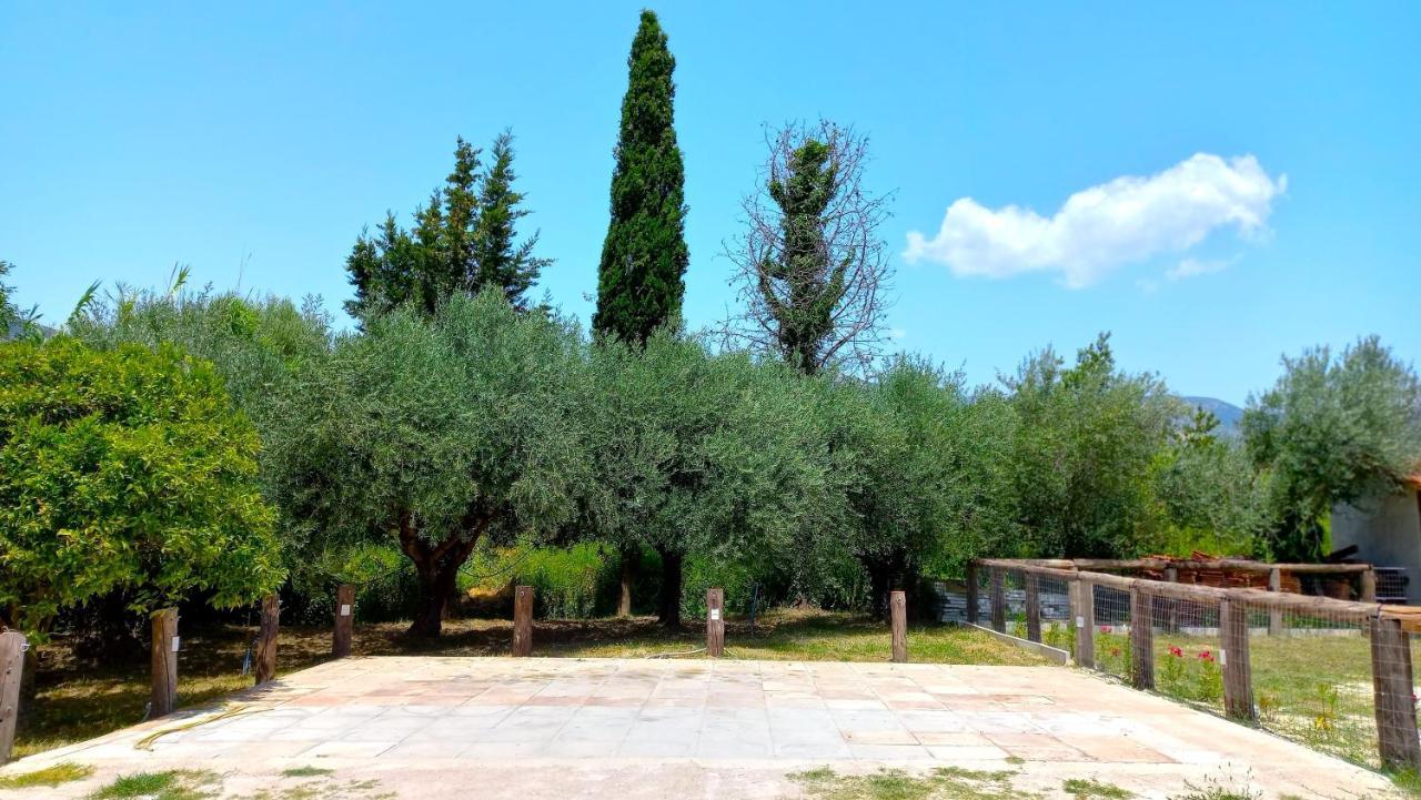 Platanos Villa Василики Екстериор снимка